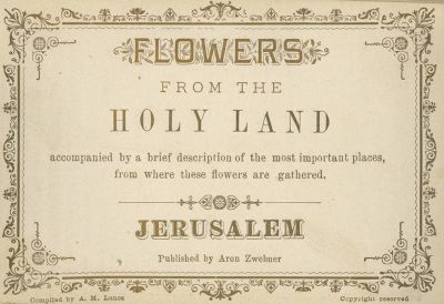 Three Albums of Pressed Flowers – Abraham Moses Luncz – Jerusalem, Late 19th Century. 1. Blumen 