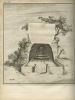 Sepulchris Hebraeorum – A Study on Jewish Burial Customs – Leiden, 1706 – First Edition - EngravingsImage - 2