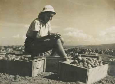 A Collection of Photographs – Kibbutzim and Border Settlements – Photographs by Zoltan Kluger. Th 
