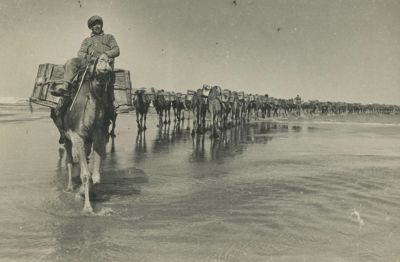 Kurt Triest – Five Photographs – Camels. The description and condition report appear below in 
