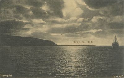 Varied Collection of Postcards – Cities and Sites in Palestine – 1920s-1940s. The description 