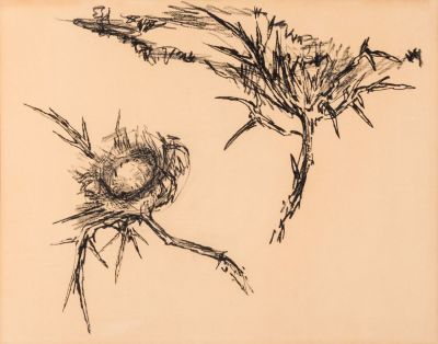 Leopold Krakauer (1890-1954) – Thistle – Charcoal on Paper. Leopold Krakauer (1890-1954) 