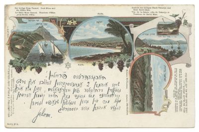 Three Undivided Postcards – Palestine, Late 19th Century and early 20th Century. Three undivided 