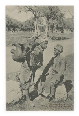 Collection of Postcards – Palestine – American Colony, First Half of the 20th Century. Nineteen 