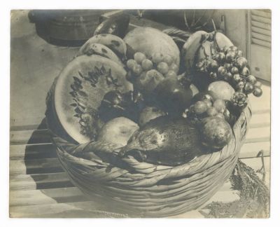 A Bowl of Fruit – Three Photographs by Helmar Lerski. A Bowl of Fruit, three photographs by 