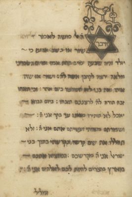 Manuscript – Tahir shel Pesach – Morocco, 19th Century. The description and condition report 