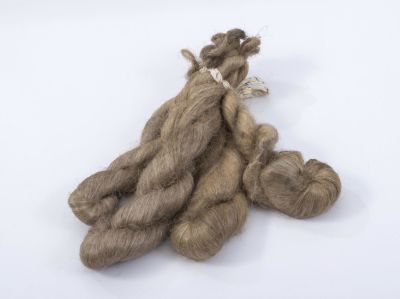 Bundle of Flax Stricks, Received by Rebbe Rashab as Gift from the Workers of the Weaving 