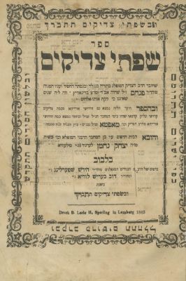 שפתי צדיקים (רבי פנחס מדינוביץ – תלמיד הרב מאפטא) – מהדורה ראשונה – לבוב, תרכ"ד. ספר שפתי צדיקים 