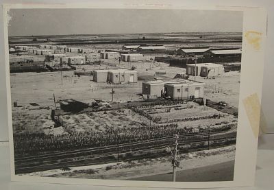 תצלום - משוב שדות, חבל ימית (קרוב לצומת רפיח). 1972. 13x18 ס"מ 
*שאריות נייר דבק על התמונה 
#251219