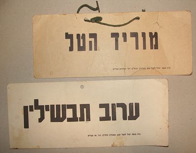 זוג שלטים מבית כנסת בטבריה