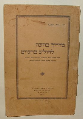 מדריך בהזנה לחולים כרוניים מאת ד"ר ליפא שפירא, ירושלים, 1930. ספר רפואי ותזונתי מקיף מתקופת 