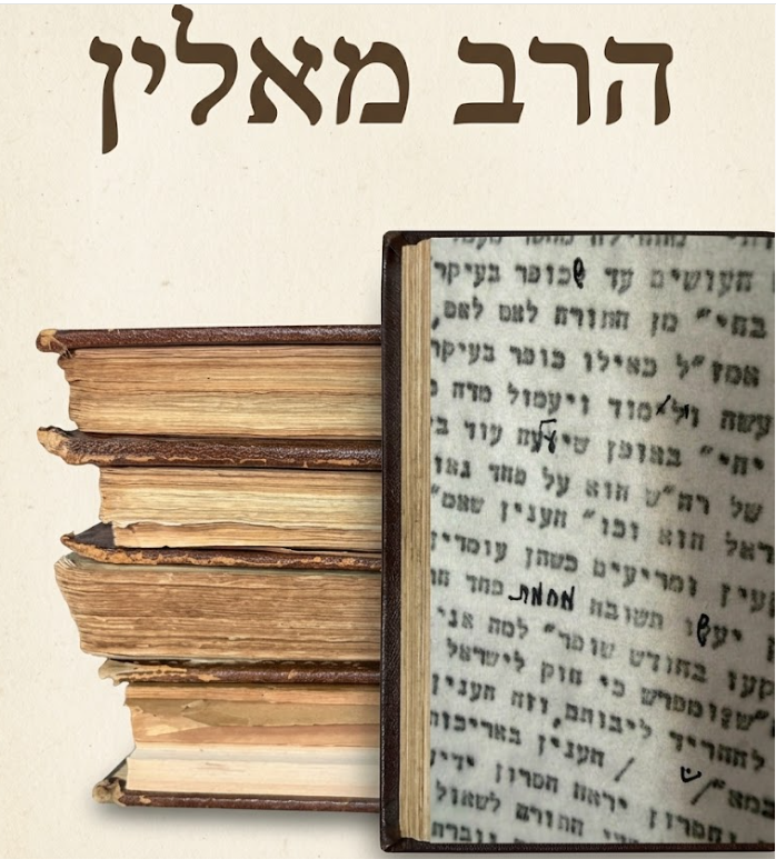 אוסף כרכים "חידושי תורה", מאת הרב אריה לייב מאלין. עותקים אישיים עם הגהות ותיקונים בכתב יד