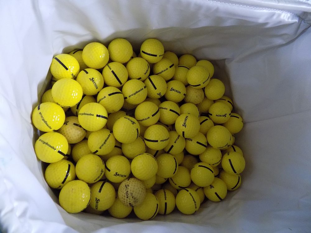 Lot 494
