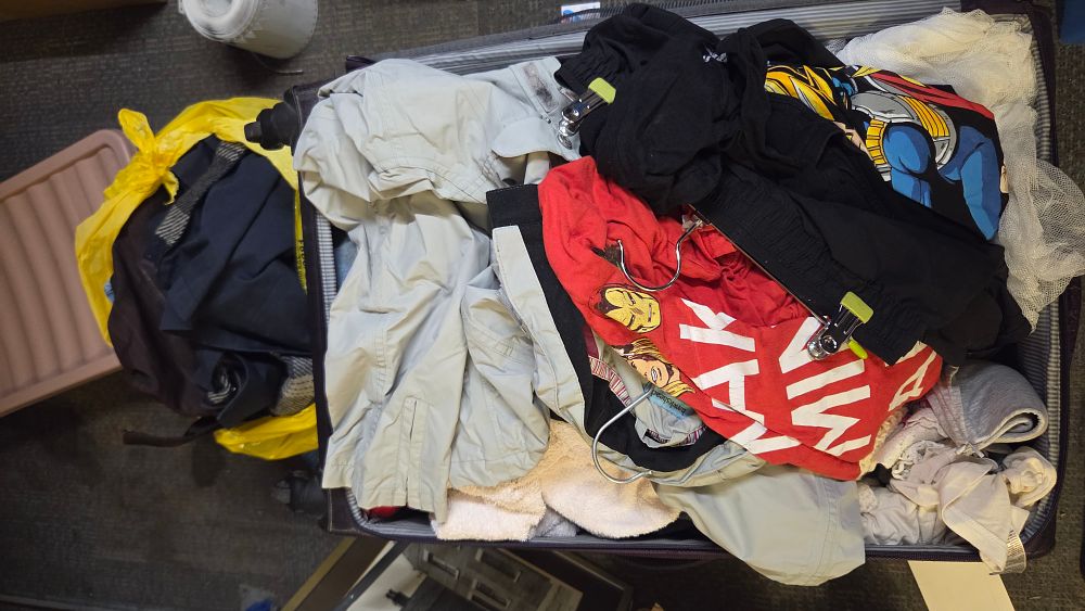 Lot 213 – Bag and Case of Clothing