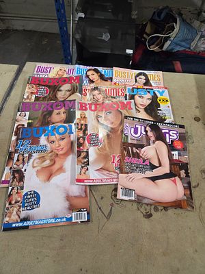 A Collection of Adult Themed Magazines. A collection of adult magazines.