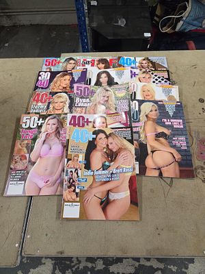 A Collection of Adult Entertainment Magazines