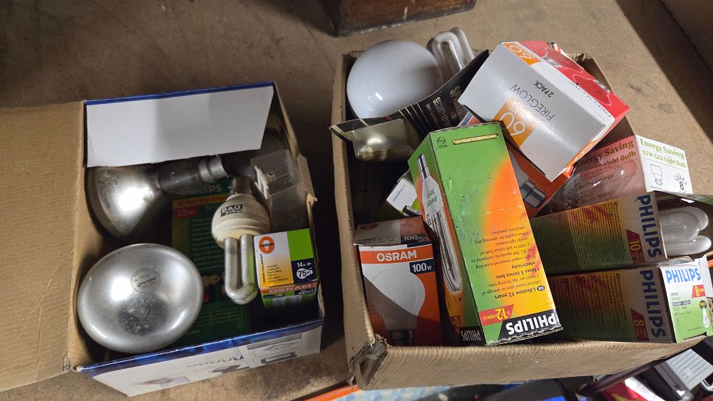 Lot 251 – A Collection of Assorted Light Bulbs