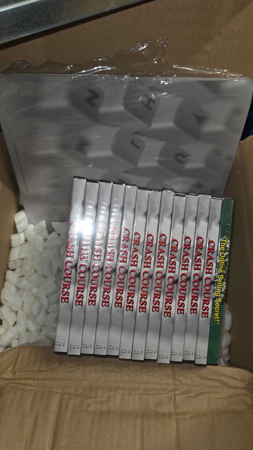 Lot 250 – A Collection of Twelve Crash Course Online Selling Secret CDs