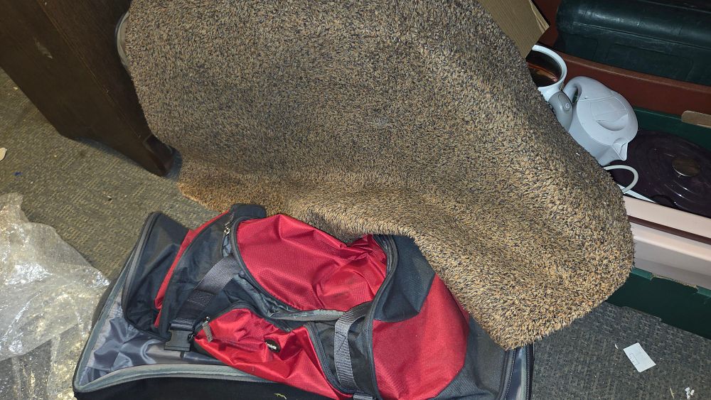 Lot 383 – A Red and Black Duffel Bag and Textured Rug