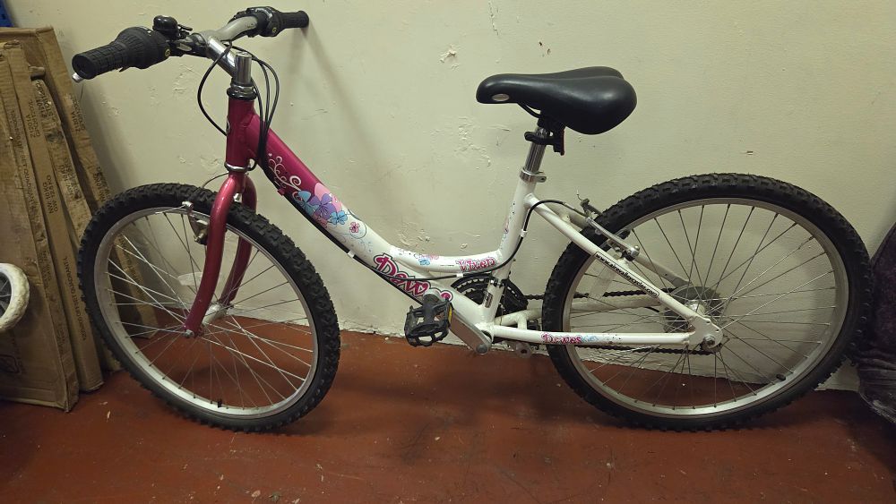 Lot 199 – A Dawes Vixen Girls’ Mountain Bike