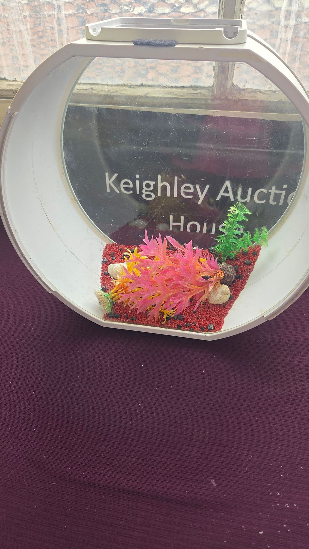 Lot 286 – A Circular Desktop Aquarium with Decorative Artificial Plants and Substrate