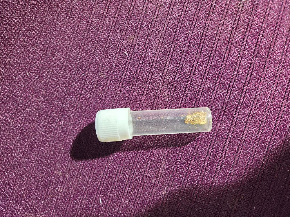 Lot 620 – Small Quantity of Gold Flakes and Grains in a Specimen Vial 0.44g