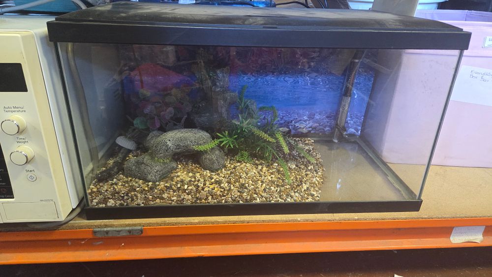 Lot 306 – A Rectangular Glass Aquarium with Moulded Plastic Lid and Accessories