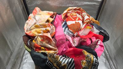 A Collection of Patterned and Plain Fashion Scarves