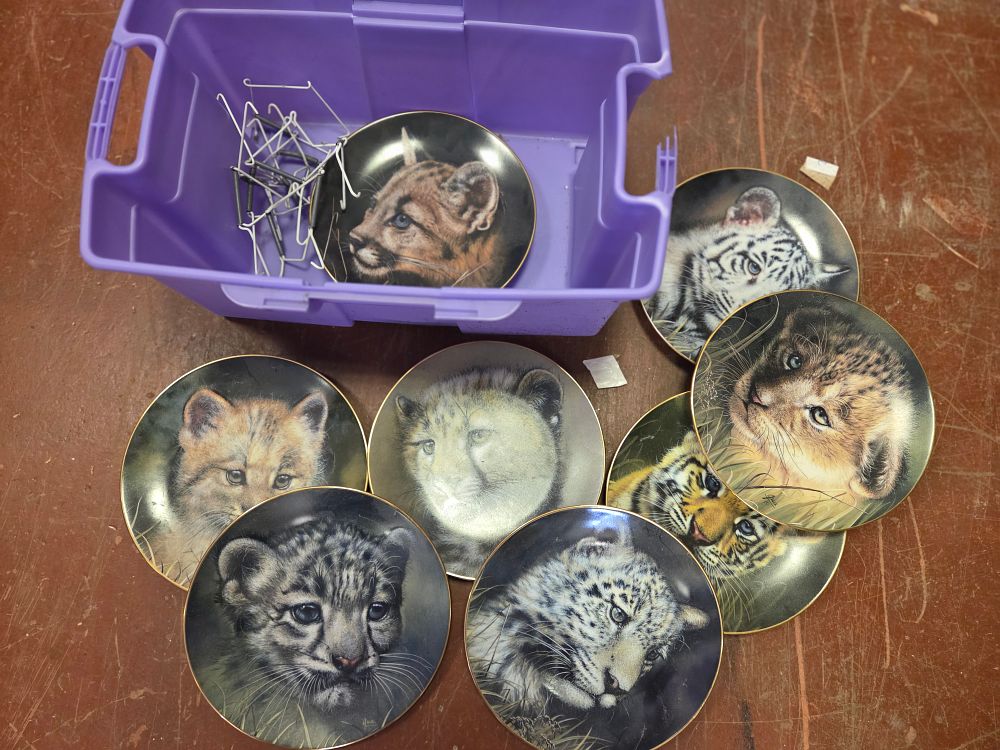 Lot 412 – A Collection of Ceramic Collector Plates Featuring Portraits of Big Cat Cubs