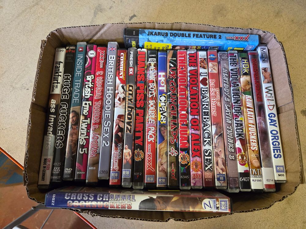 Lot 289 – A Collection of Gay-Interest Adult Erotica DVDs