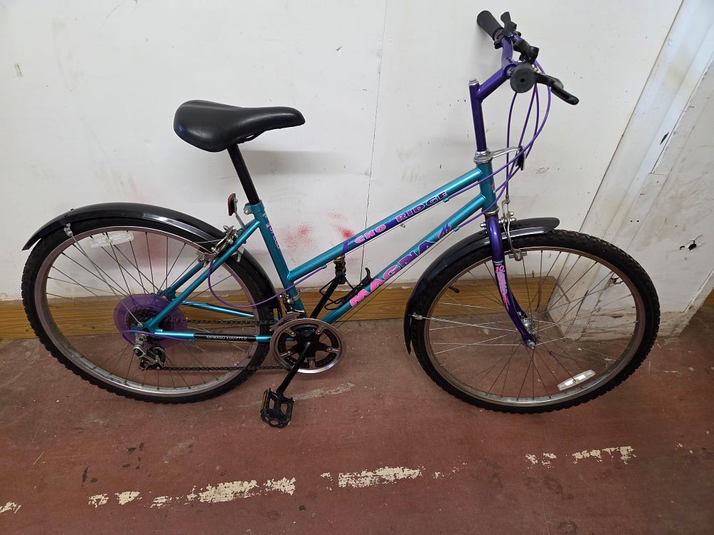Lot 349 – A Magna Echo Ridge Step-Through Mountain-Style Bicycle – Just had full service