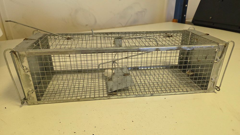 Lot 177 – A Humane Dual-Door Galvanised Steel Live Animal Trap