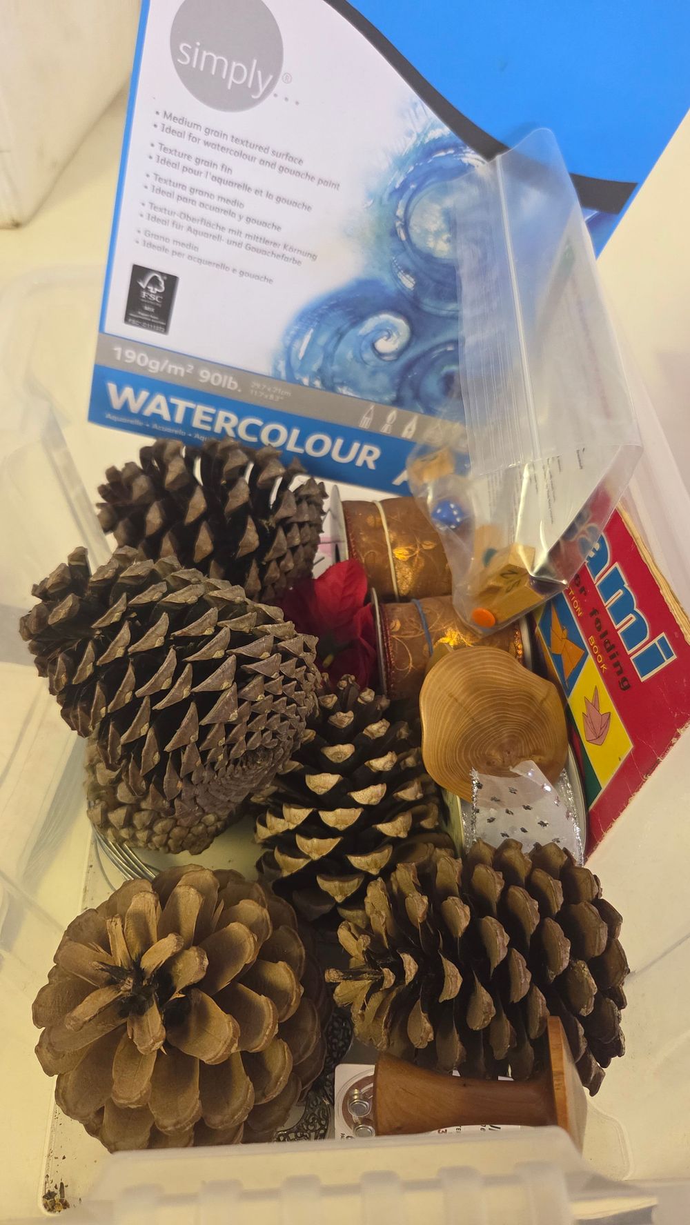 Lot 249 – An Assortment of Craft Supplies and Decorative Natural Items including Pine Cones and Art Materials