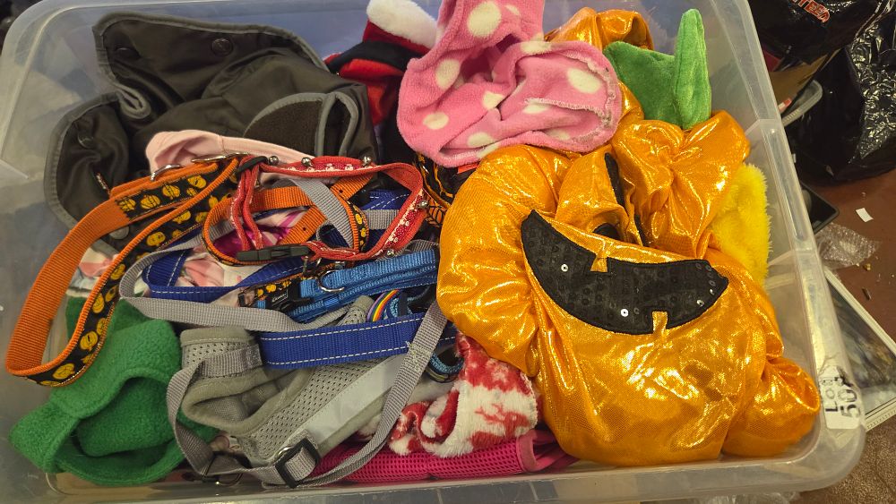 Lot 259 – An Assortment of Pet Harnesses, Collars, and Seasonal Dog Apparel