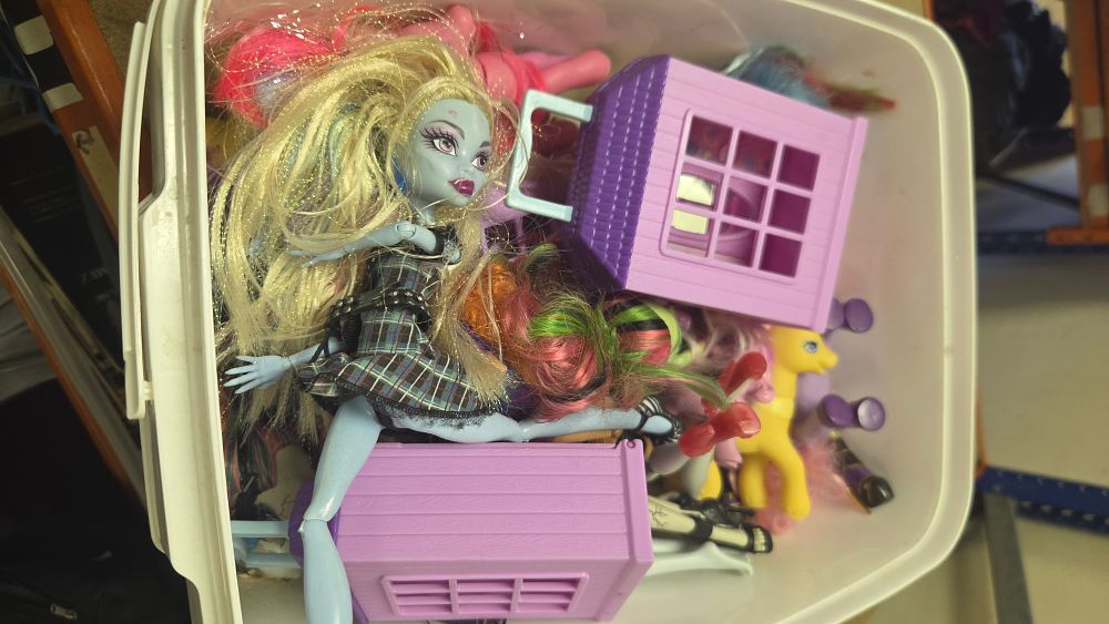 Lot 195 – A Collection of Fashion Dolls and Plastic Figurines including items in the style of Monster High and My Little Pony