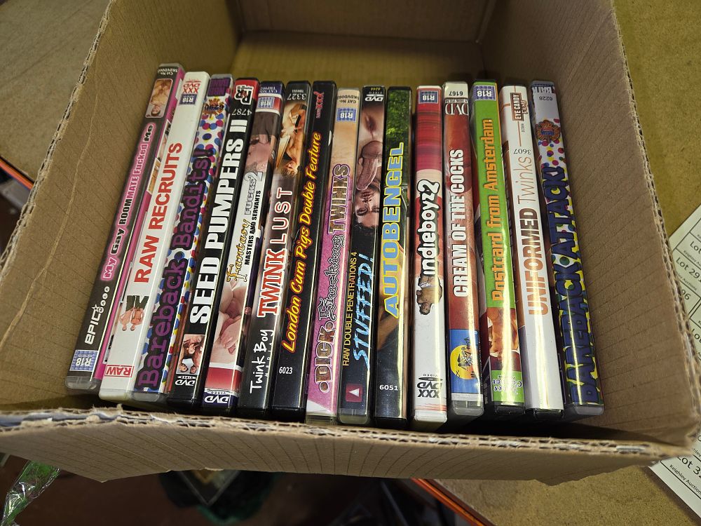 Lot 279 – A Collection of Fourteen Adult Interest Gay Erotica DVDs
