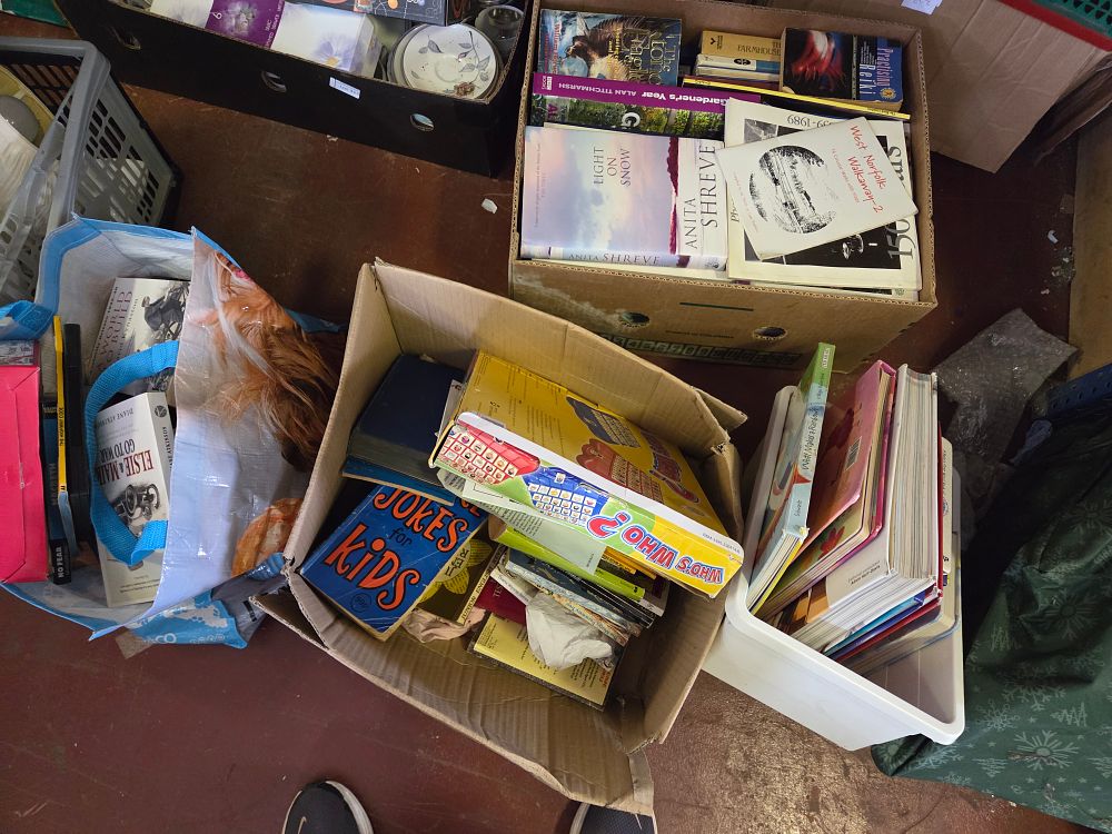 Lot 316 – Four Boxes of Miscellaneous Books, Children’s Literature, Ephemera, and Domestic