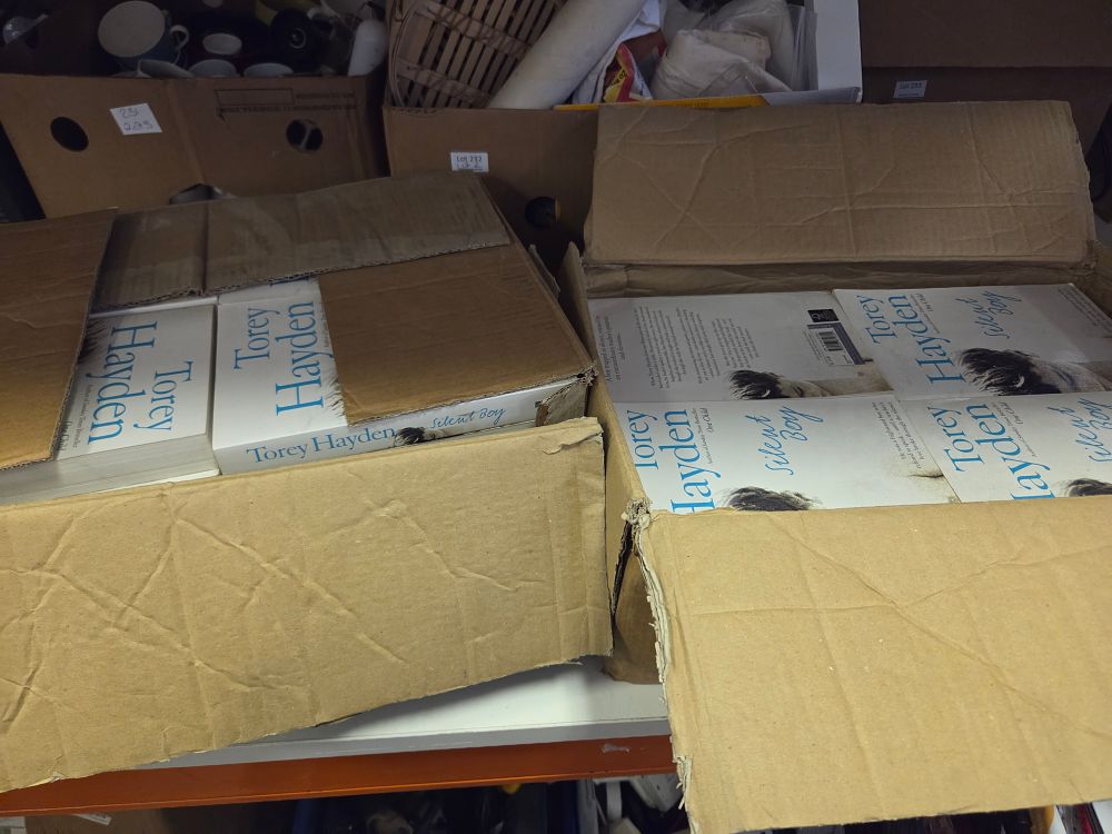 Lot 237 – Two Boxes of Torey Hayden Silent Boy Paperback Books