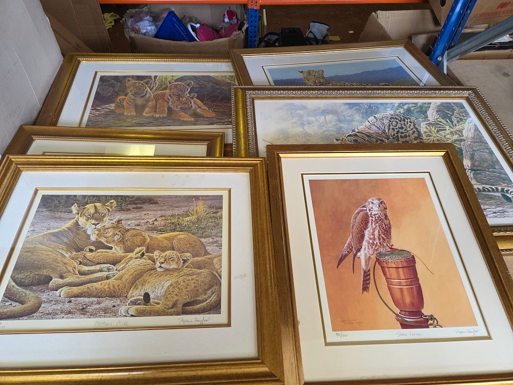 Lot 291 – A Selection of Stephen Gayford Signed Limited Edition Wildlife Prints
