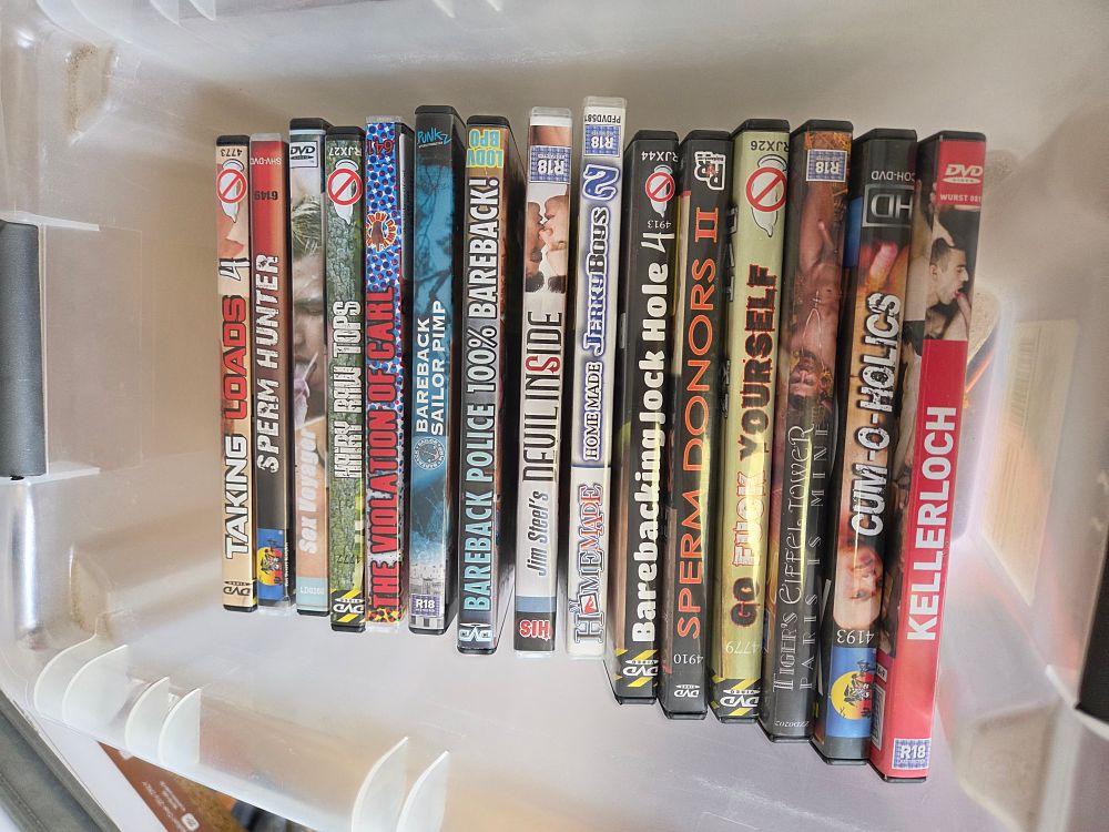 Lot 308 – One Plastic Container of 15 Adult DVDs Including Taking Loads 4 Bareback Police and Kellerloch