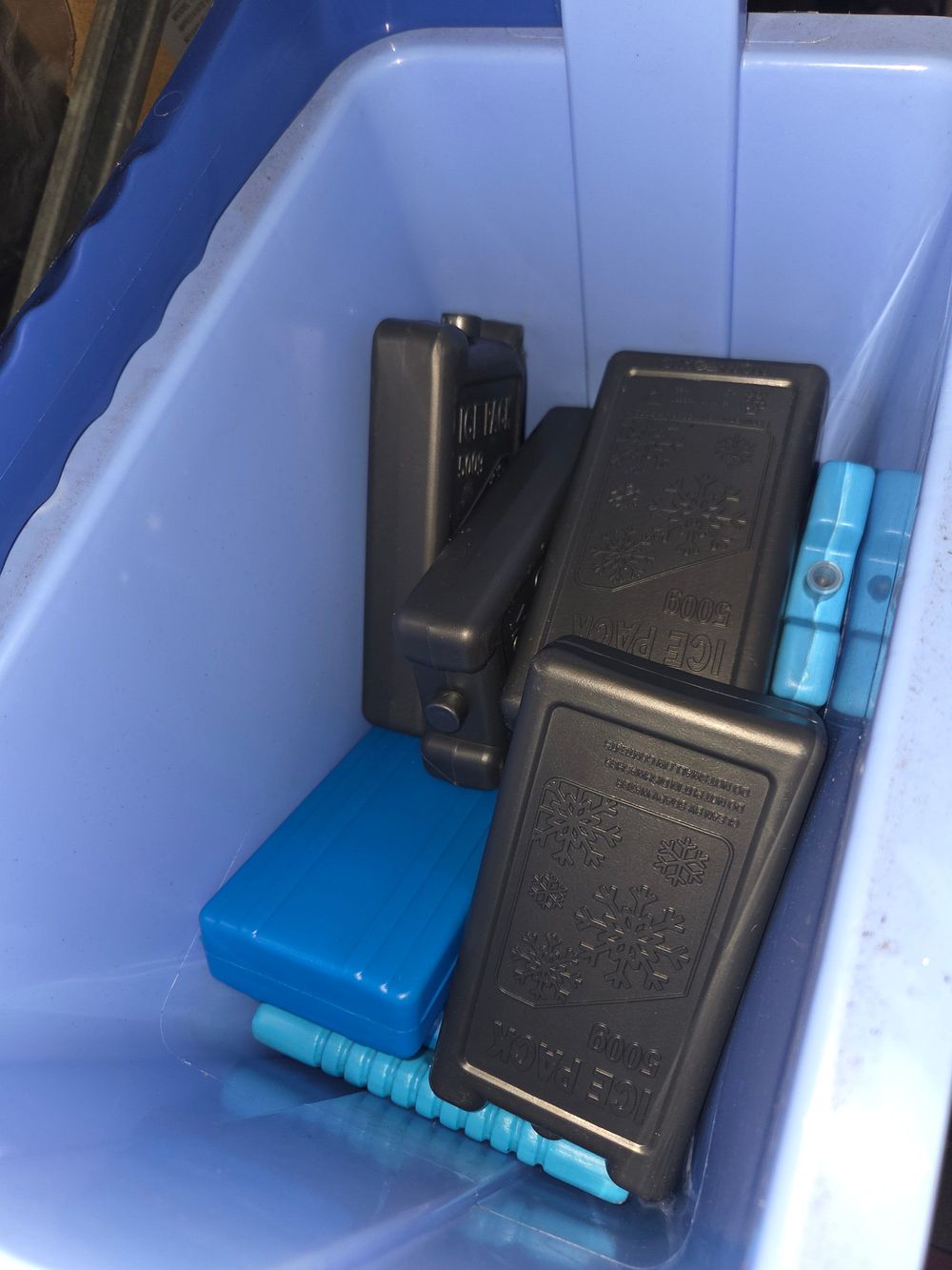 Lot 311 – Cool Box and Reusable Ice Packs