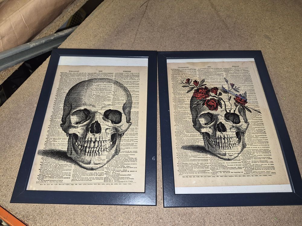 Lot 169 – A Pair of Anatomical Skull Prints on Vintage Dictionary Leaves framed