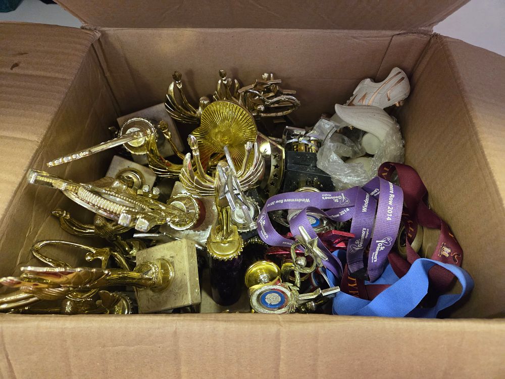 Lot 223 – A Collection of Sporting Trophies and Medals Including Windermere Row 2014 Memorabilia