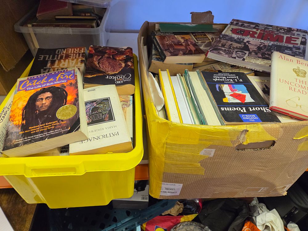 Lot 133 – Two Boxes of Books Including Timothy White Catch a Fire and Donna Tartt The Little Friend