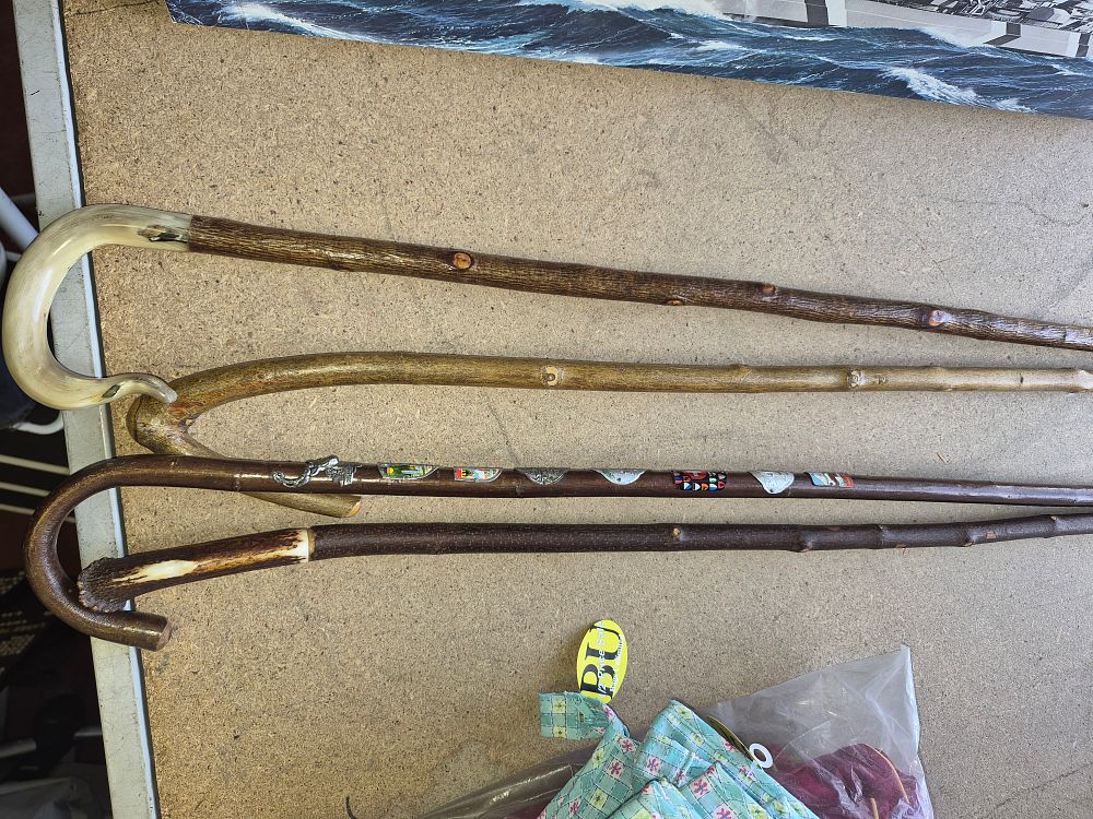 Lot 180 – Four Natural Wood Alpine Hiking Canes including Souvenir Shield and Antler Examples
