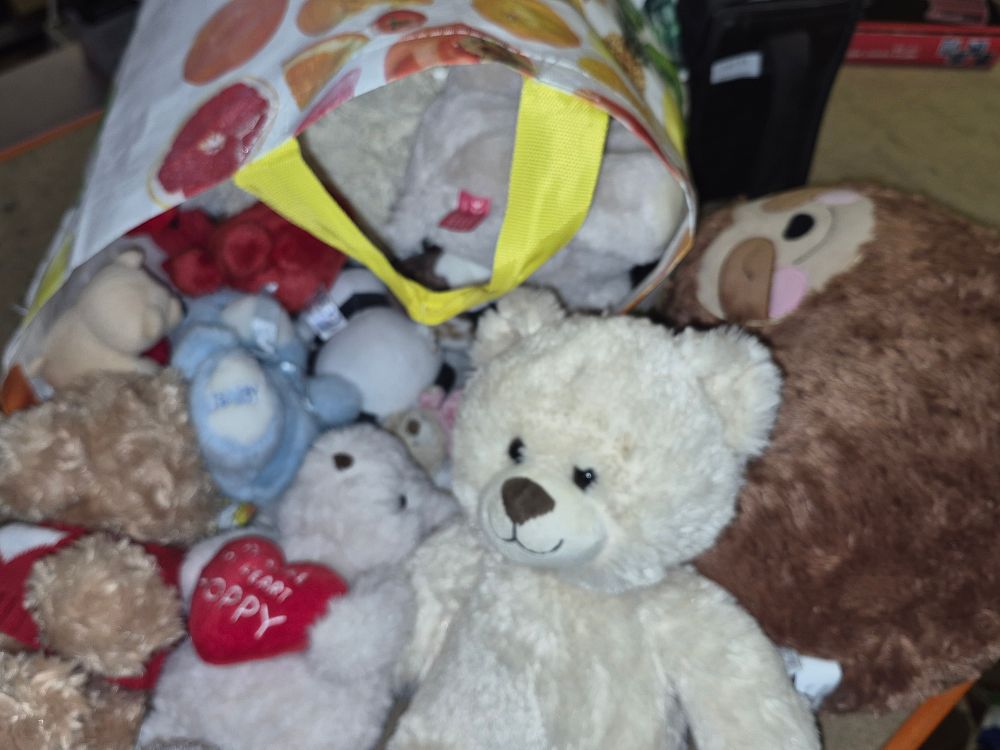 Lot 38 – A Collection of Miscellaneous Plush Soft Toys Including Teddy Bears and Animals