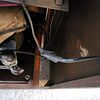 Philco Art Deco Floor-Standing Radio & Phonograph Console. This Philco floor-standing radio and Image - 11