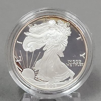 2006-W Eagle Silver Proof Coin 31 Grams. This 2006-W US American Eagle silver proof coin is 