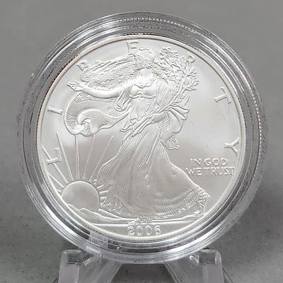 2006 American Eagle $1 Coin 31 Grams. 2006 US American Silver Eagle one-dollar denomination 