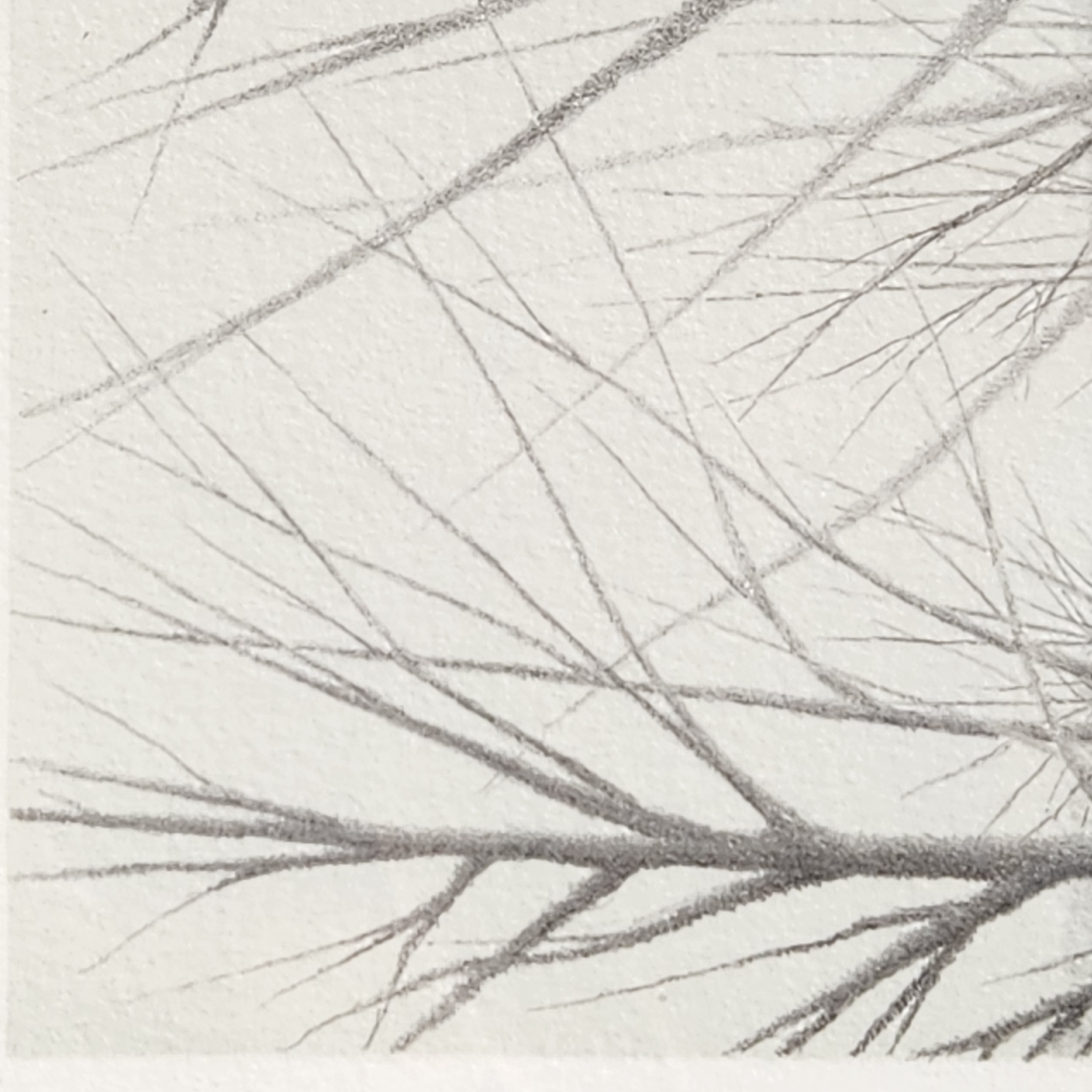 Robert Kipniss Winter landscape Lithograph